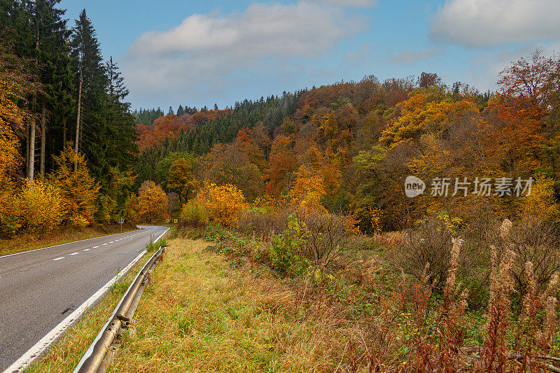 在一条通向比利时阿登森林的空旷道路的一边，周围是秋天的彩色树木