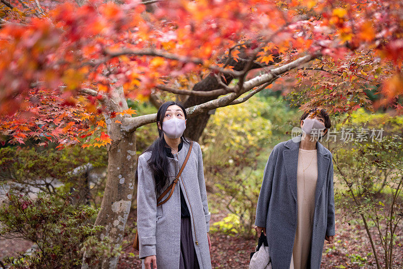 戴着保护面罩的日本女性朋友参观公园欣赏秋天的树叶