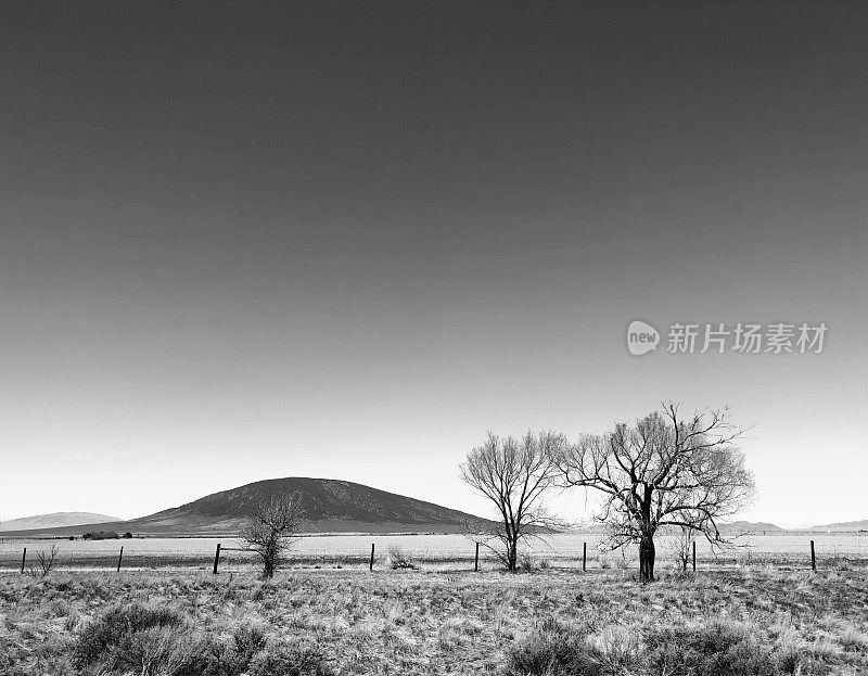 新墨西哥州尤特山(B&W)