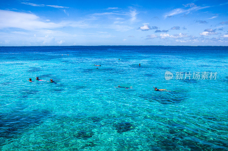 热带海洋背景