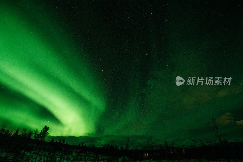 北极光在夜空中，山峦和云杉的轮廓