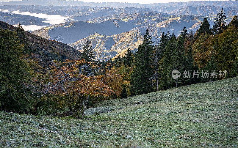 从阿尔卑斯山脉的布莱苟斯山顶俯瞰秋景，天空多云，斯洛文尼亚