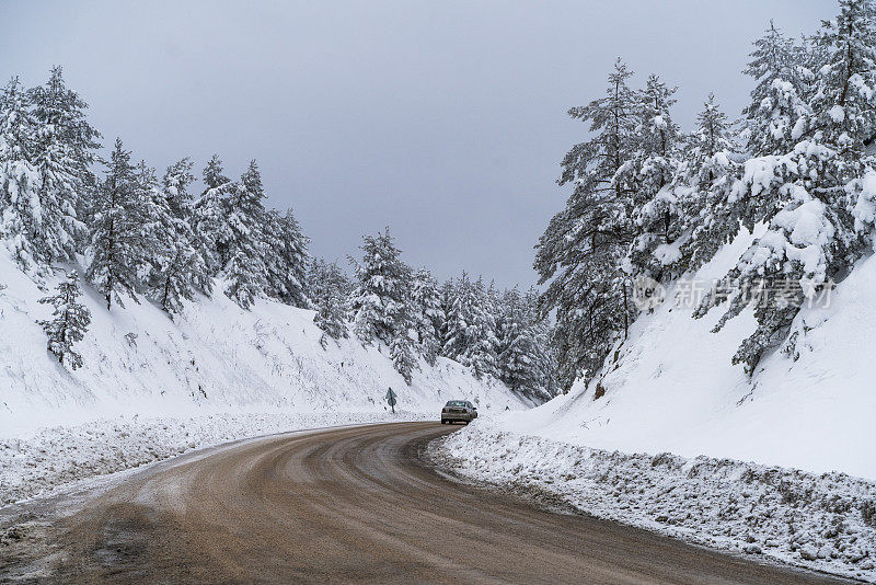 在白雪皑皑的森林中发现的蜿蜒的道路景观