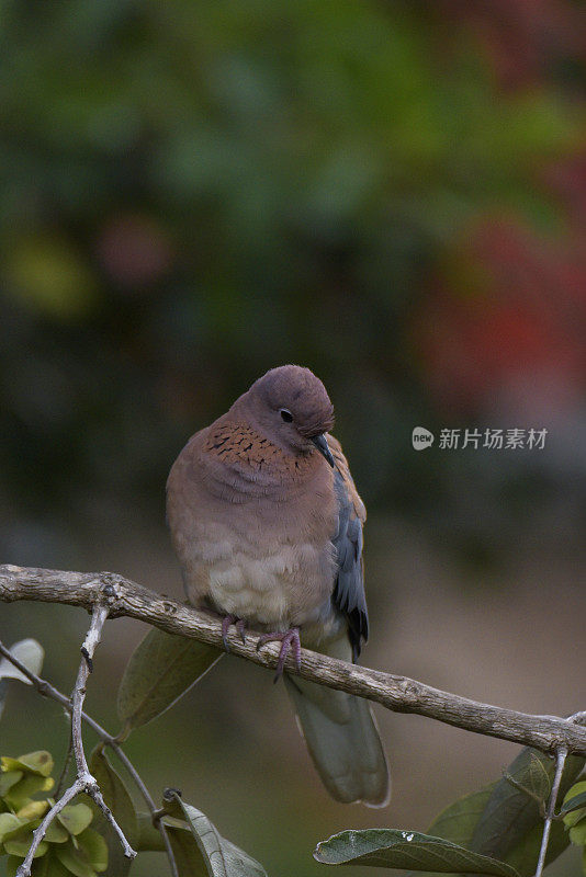 这里那里