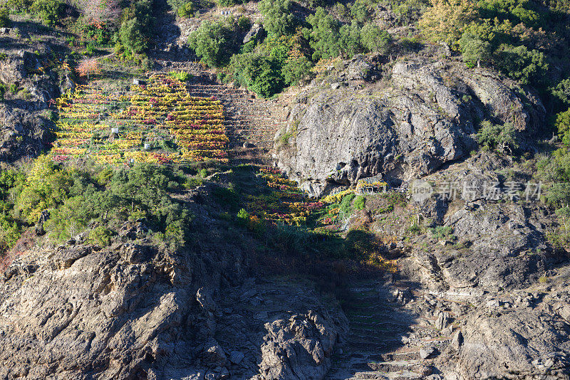 页岩悬崖之间的梯田葡萄园和小酒厂