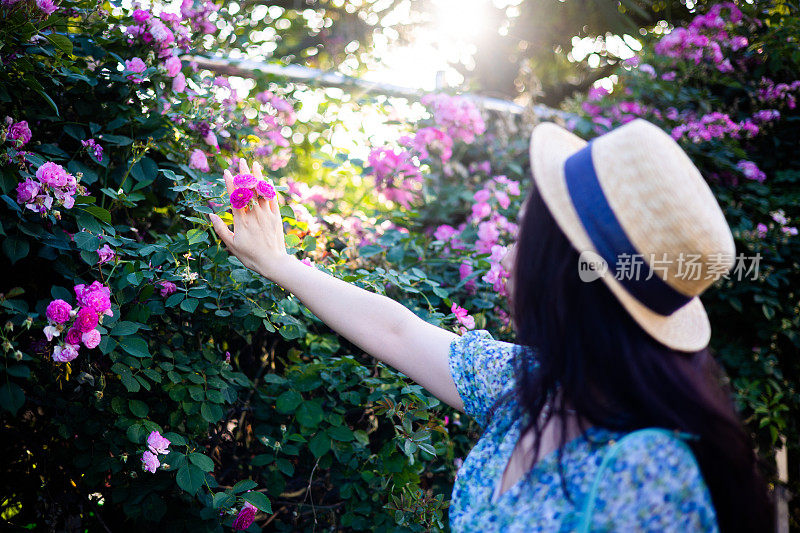 女人手摸着小花