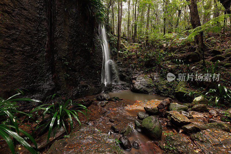 澳大利亚热带雨林的原始瀑布