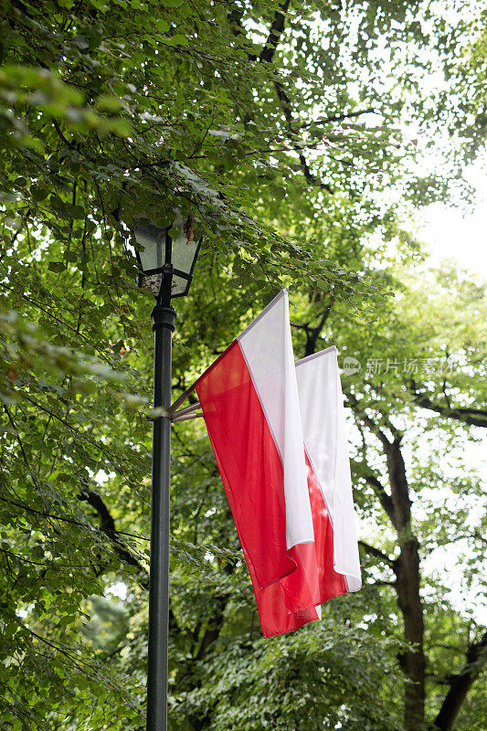 波兰国旗，波兰国旗
