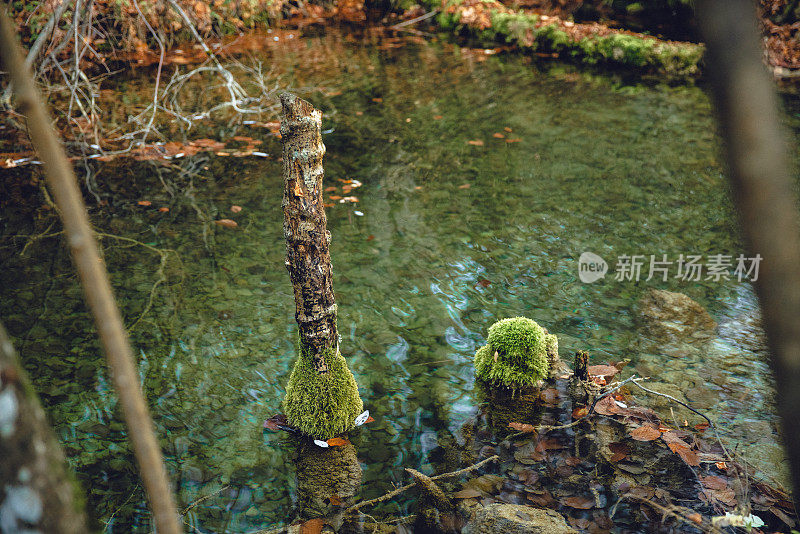 秋天的景观有森林里的树木和山间的河水