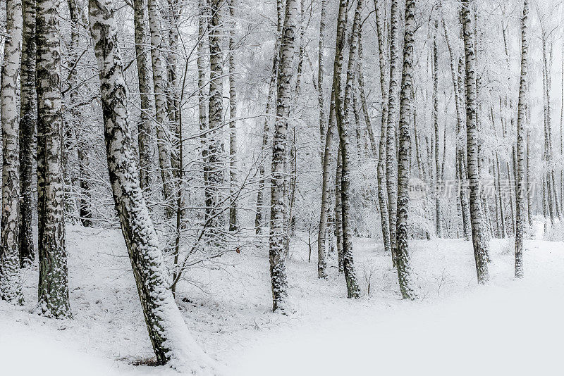 雪