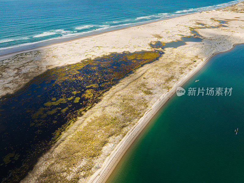 海洋、湿地、湖泊。