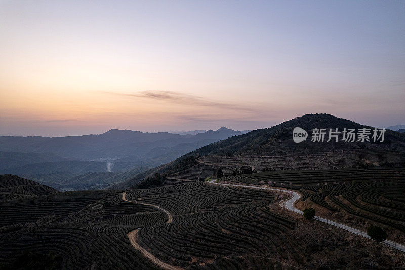 山间茶园的浪漫天空