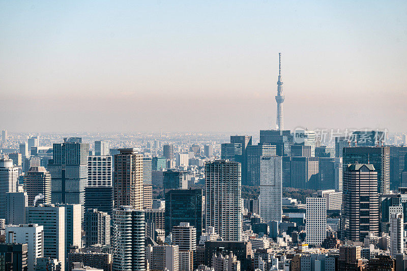 东京，日本天际线与东京天空树