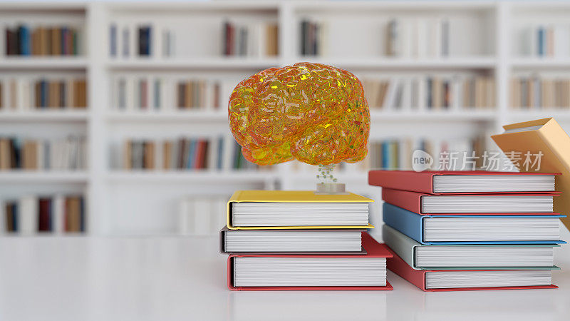 图书馆里书上的大脑模型。