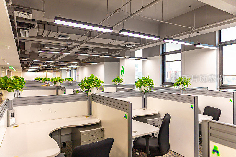 带有绿色植物的现代办公室内部