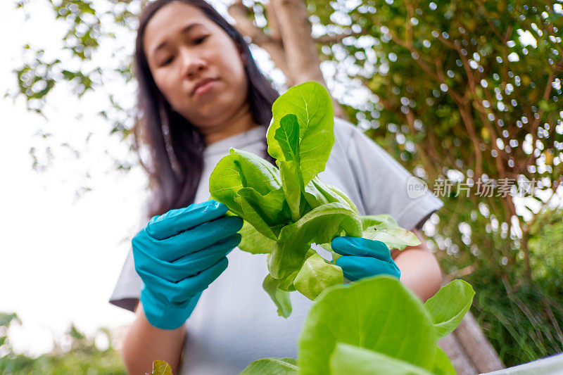 手持绿叶植物的女园丁。