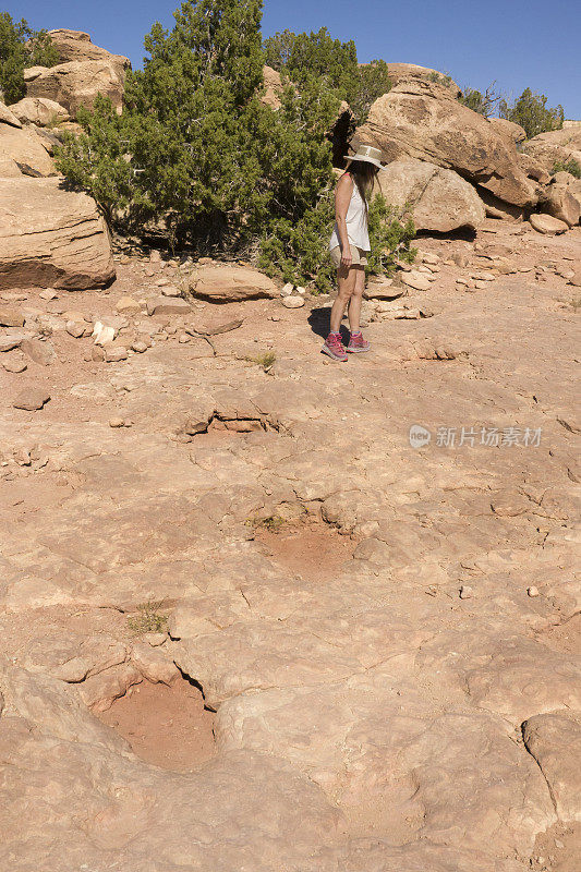 妇女探索蜥脚类动物的足迹铜岭恐龙足迹遗址摩押犹他州