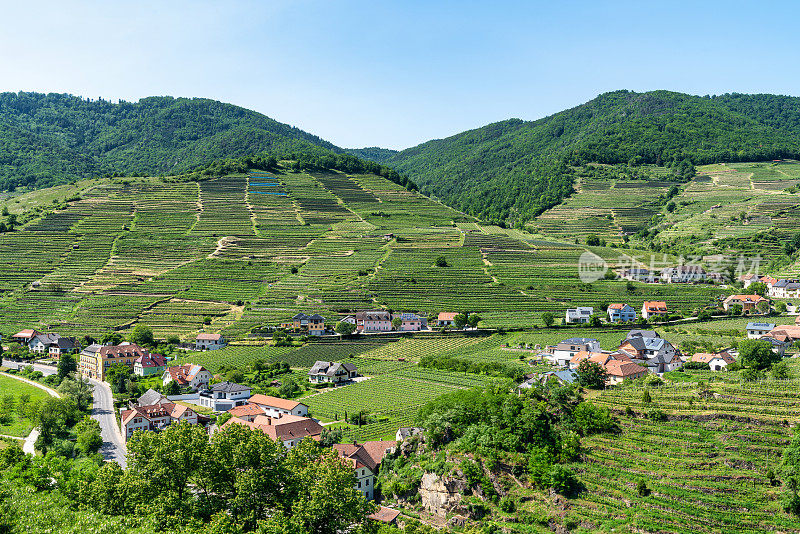 瓦豪谷，奥地利