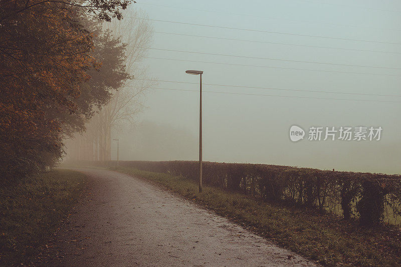 乡村小路上有一根雾蒙蒙的秋日风景灯柱