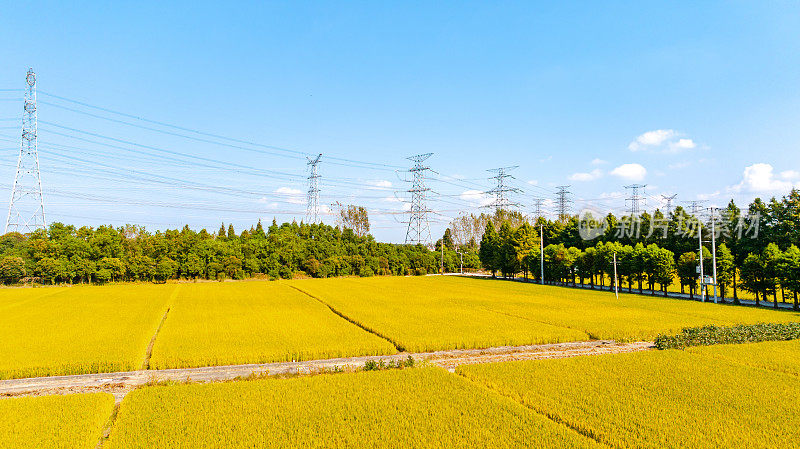 公路上稻田的航拍照片