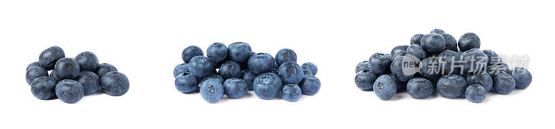 成熟的蓝莓被隔离在白色的背景上。美味的夏日浆果。素食主义者。有机水果