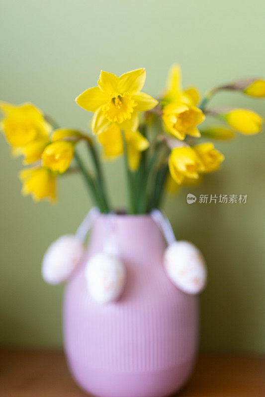 复活节彩蛋，水仙花，粉色花瓶