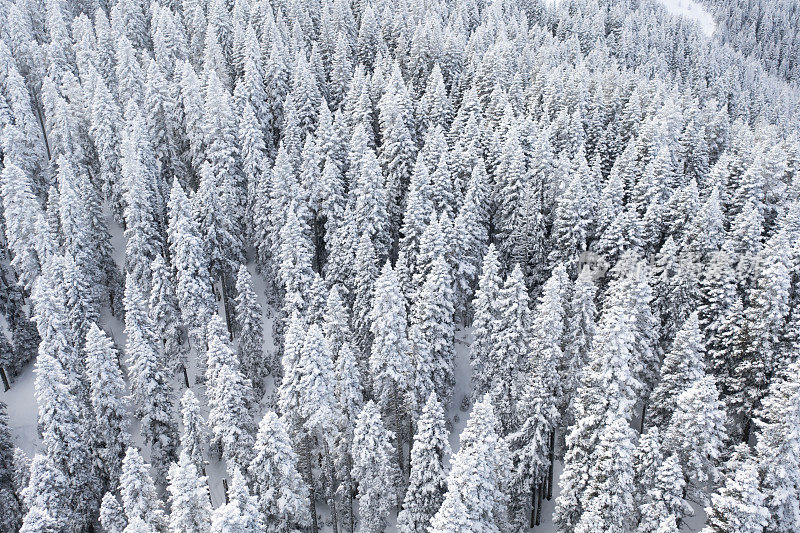 无人机拍摄的雪山鸟瞰图