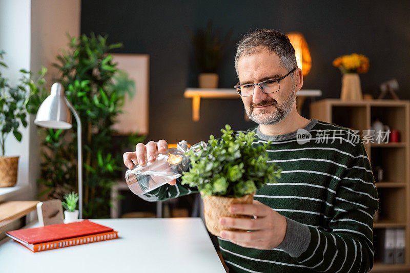 心满意足的中年高加索人在给家里的植物浇水