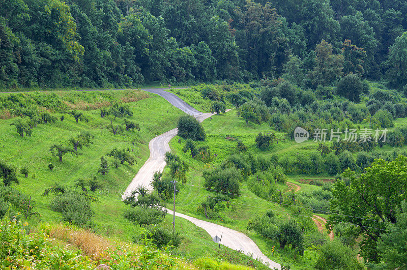 蓝岭公园大道