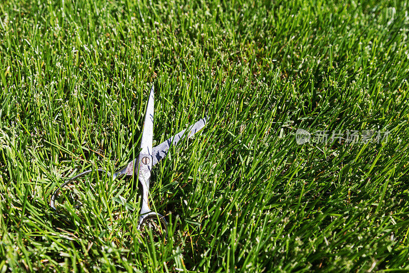 剪刀在草地上