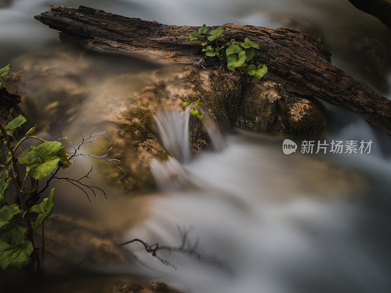 近距离的低鸣水周围的石头和树枝