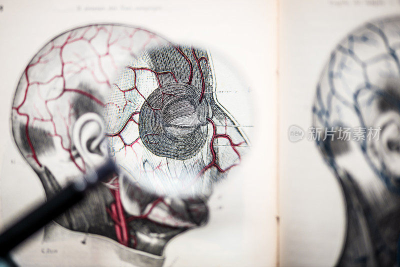 放大镜上的古董解剖学书:眼睛