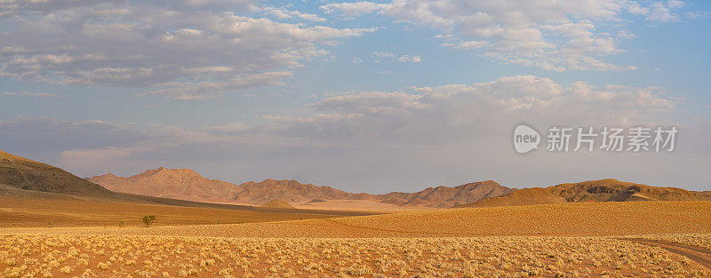 纳米比亚沙漠的美丽全景