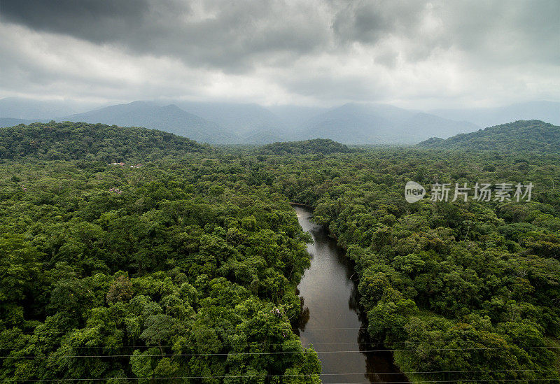 巴西热带雨林鸟瞰图