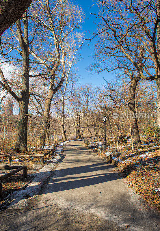 白天，纽约市曼哈顿中城中央公园的空旷人行道