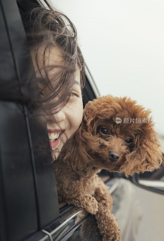 女人和她的狗在车里，在风中呼啸