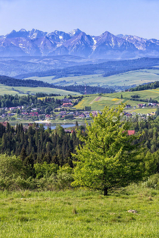 从Pieniny山到Tatras，波兰的夏日景色