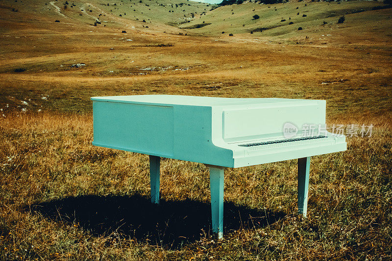 草地上的白色钢琴