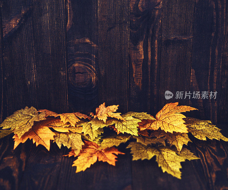 秋天的背景与枫叶和木材