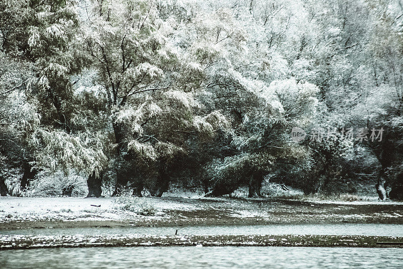 第一场雪，多瑙河的冬景――河口和沼泽