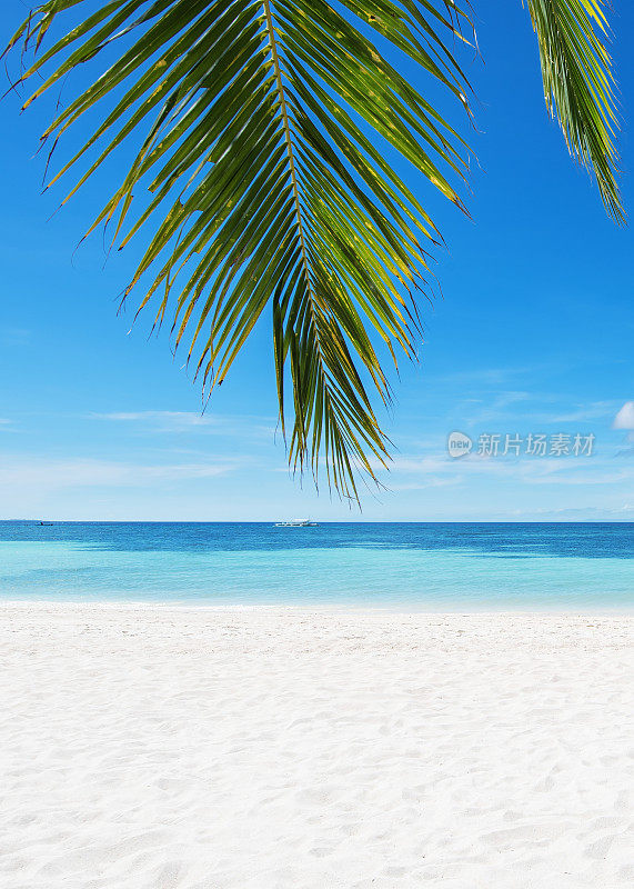 夏日天堂海滩背景