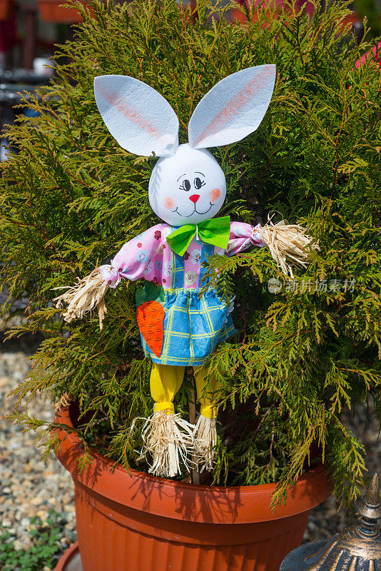 超级可爱的兔子玩具在花园里
