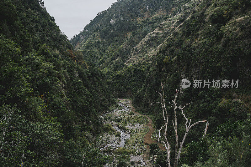 马德拉景观，诺瓦和莫伊尼奥莱瓦达步行