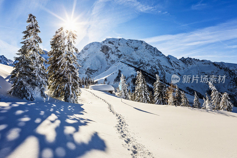 冬季仙境的景色和阿尔卑斯山的山间小屋