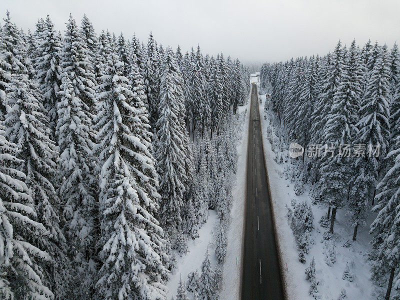 道路穿过冬天积雪覆盖的森林