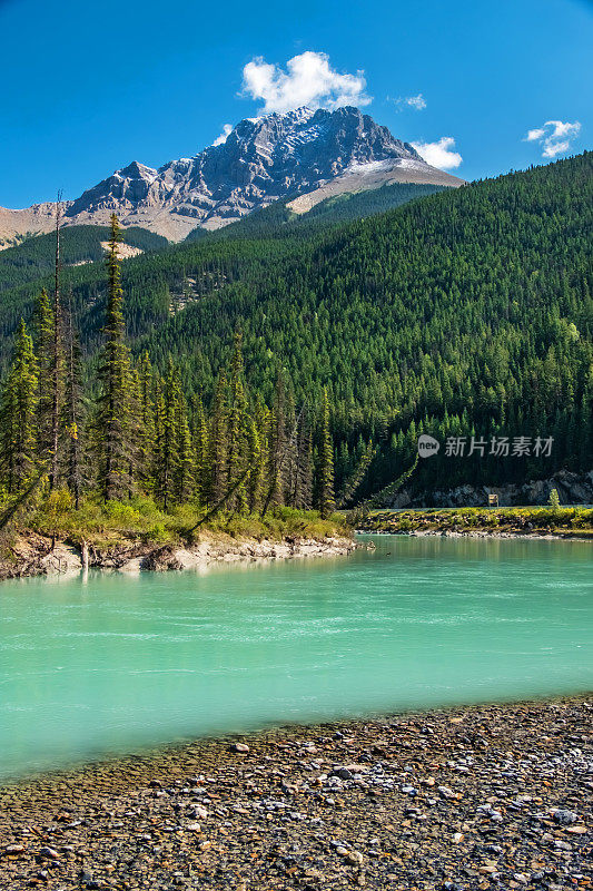 弓河和加拿大落基山脉景观