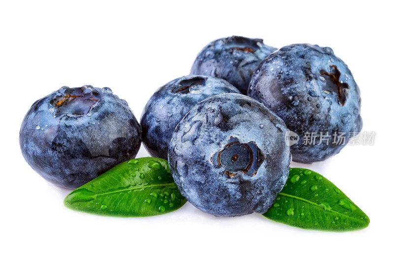新鲜的湿蓝莓孤立在白色背景
