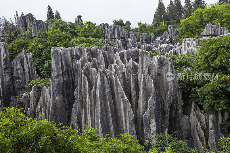 中国云南昆明石林风景