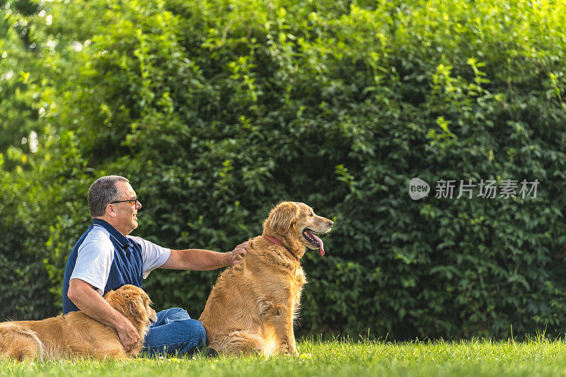 日落时分，一个男人在抚摸他的狗