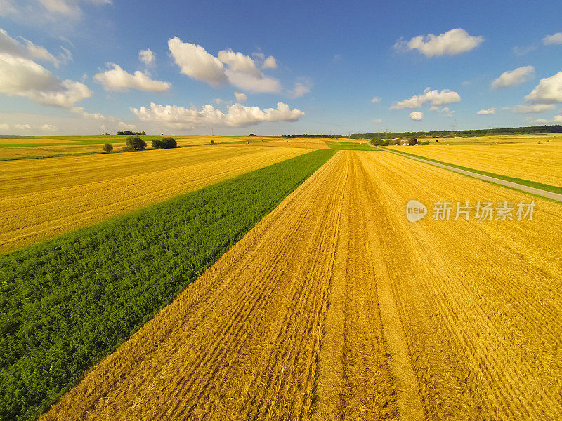 田野的鸟瞰图